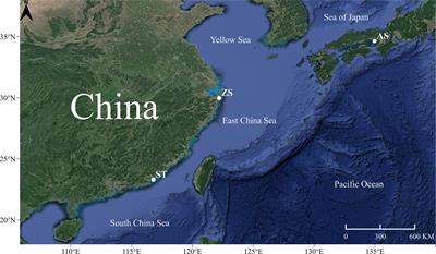 Genetic diversity of Hapalogenys analis in the northwest Pacific assessed using dd-RAD sequencing